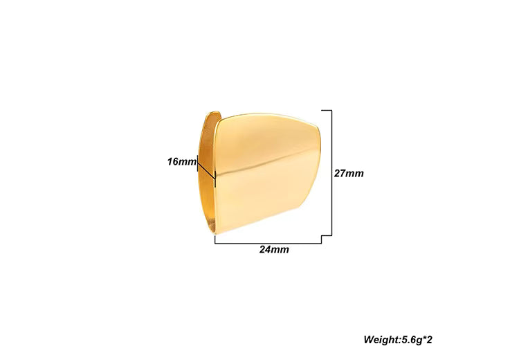 Stainless Steel Unusual Fashion Earrings