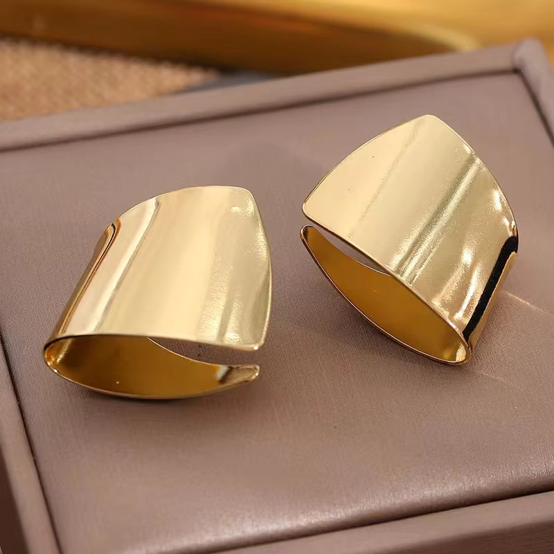 Stainless Steel Unusual Fashion Earrings