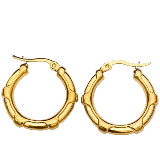 Gold hoop earrings